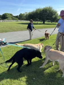 Blessing of the pets