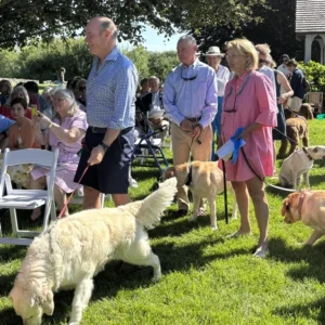 Blessing of the pets