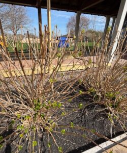 Repair & restoration photo