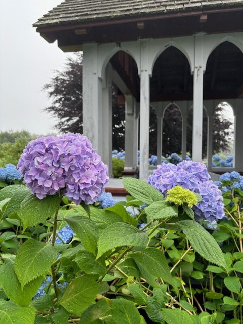 Service - Flowers